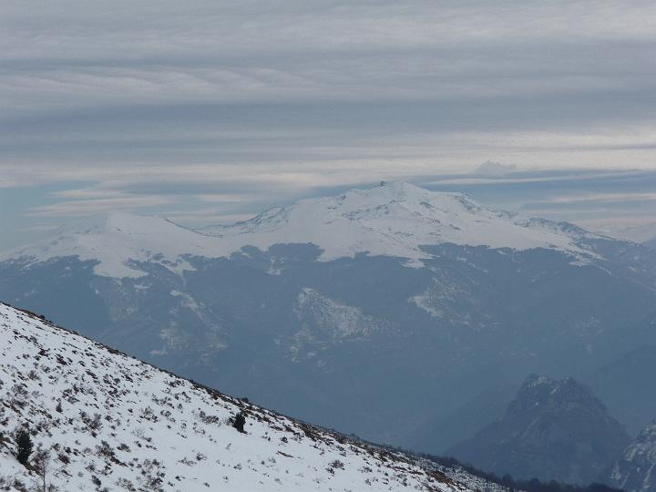 SarratDeLaPelade2009 016.jpg